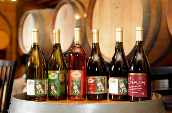 Spoiled Dog Winery